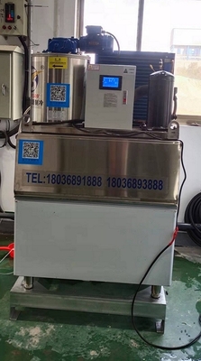Balık Soğutma ve Koruma için 0,5 ton Yaprak Buz Makinesi